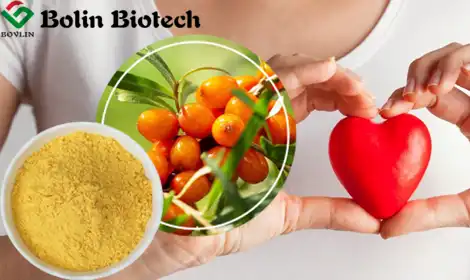 How Sea Buckthorn Fruit Powder Supports Heart Health and Blood Circulation Naturally?